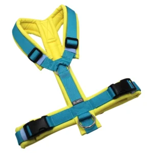 BUMER1000 Hundegeschirr, gepolstert ohne geteilten Bruststeg, Größe M, Gurtband: PREMIUM Blue Lagoon, Softshell: GELBTÖNE (GE-5154), Ringe: silberfarbig (Edelstahl), Schnallen: schwarz (DURAFLEX®)
