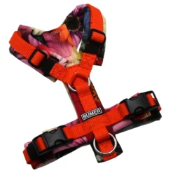 BUMER Hundegeschirr, Gurtband: Orange (Standard PLUS), Softshell: Color Burst, gepolstert ohne geteiltem Bruststeg, Größe XXS, Ringe: silberfarbig (Edelstahl), Schnallen: schwarz (DURAFLEX®)