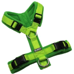 BUMER Hundegeschirr, Gurtband: PREMIUM X Kiwi Kiss, Fleece: Fresh Basil, gepolstert ohne geteilten Bruststeg, Größe XS, Ringe: silberfarbig (Edelstahl), Schnallen: schwarz (DURAFLEX®)