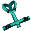 BUMER Hundegeschirr, Gurtband: PREMIUM X Minze, Fleece: Deep Sea, gepolstert ohne geteilten Bruststeg, Größe S/M, Ringe: silberfarbig (Edelstahl), Schnallen: schwarz (DURAFLEX®)
