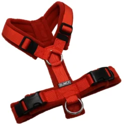 BUMER Hundegeschirr, gepolstert ohne geteilten Bruststeg, Größe XXS, Gurtband: PREMIUM Scarlett Essence, Fleece: Terracotta, Ringe: silberfarbig (Edelstahl), Schnallen: schwarz (DURAFLEX®)