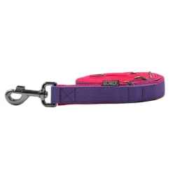 BUMER Hundeleine für Hunde, gepolstert, Länge: 250cm, Gurtband: Lavendel (Standard PLUS), Softshell: Neonpink, Ringe: silberfarbig (Edelstahl)